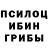 Галлюциногенные грибы мухоморы zamerh