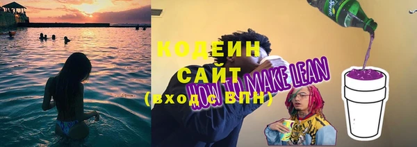 шишки Белоозёрский