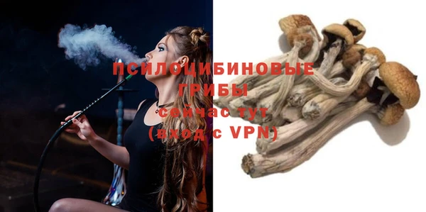 2c-b Белокуриха