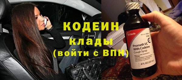 индика Богородицк