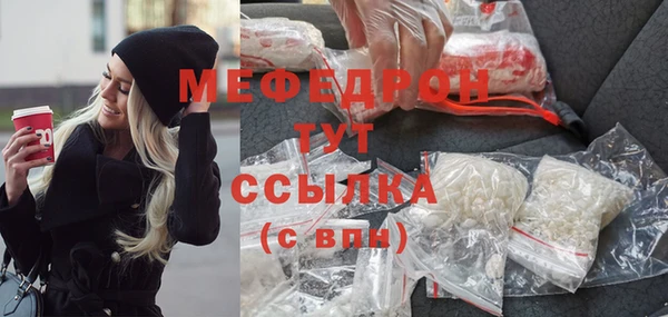 индика Богородицк