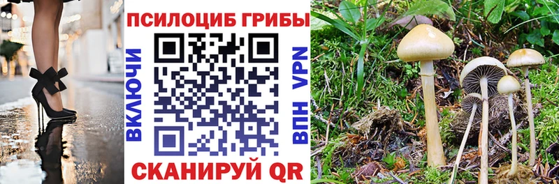 магазин продажи наркотиков  Карабаново  Галлюциногенные грибы ЛСД 